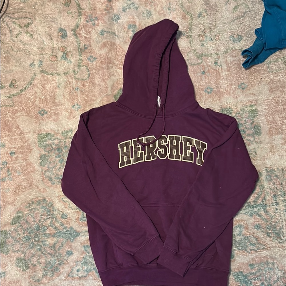 Gildan Purple Hoodie with Bold Lettering